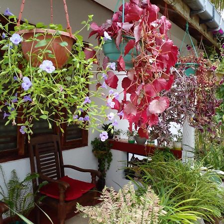 Gem Villa Weligama Zewnętrze zdjęcie