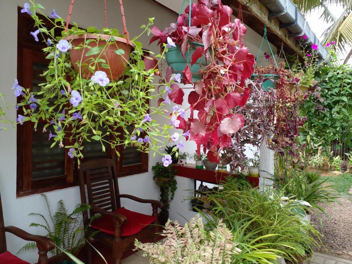 Gem Villa Weligama Zewnętrze zdjęcie