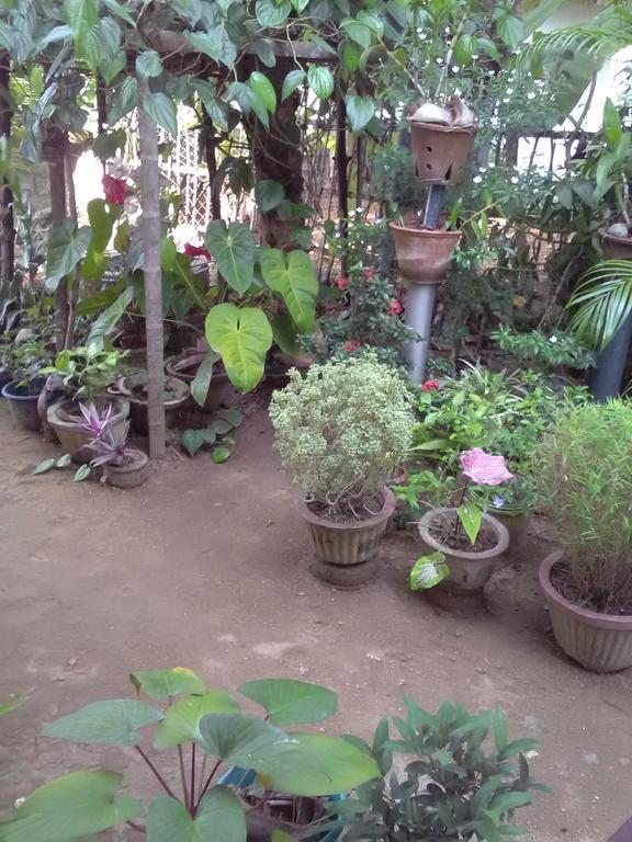 Gem Villa Weligama Zewnętrze zdjęcie