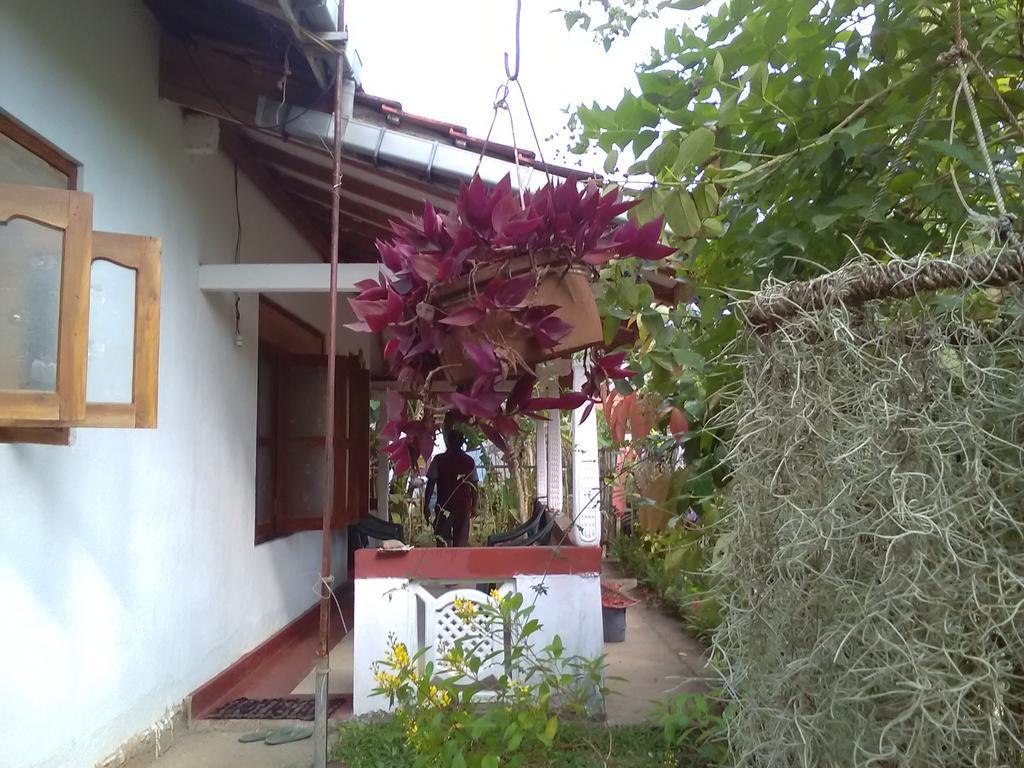 Gem Villa Weligama Zewnętrze zdjęcie