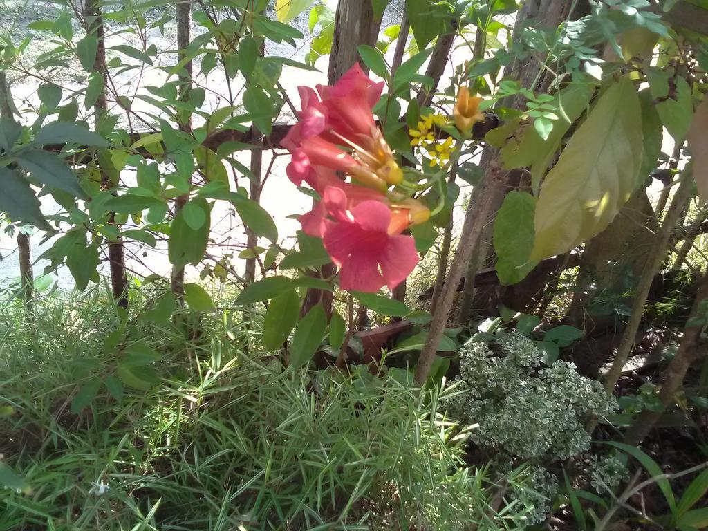 Gem Villa Weligama Zewnętrze zdjęcie